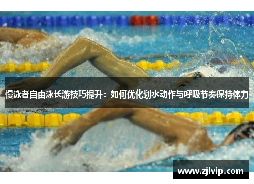 慢泳者自由泳长游技巧提升：如何优化划水动作与呼吸节奏保持体力