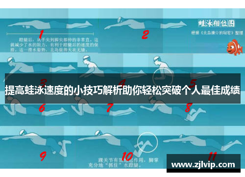 提高蛙泳速度的小技巧解析助你轻松突破个人最佳成绩